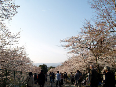 インクラインから見る京都市街
