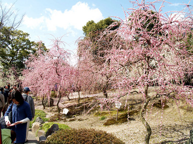 城南宮・神苑